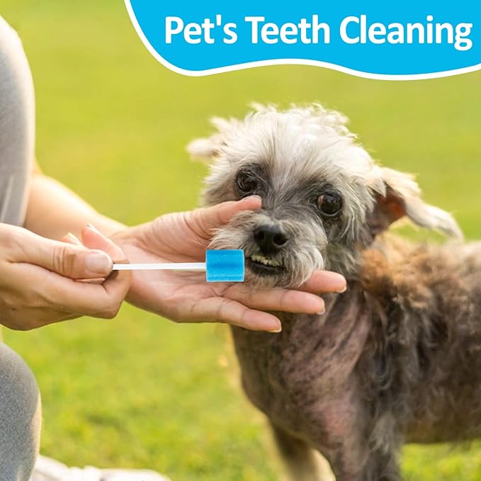 100 Oral Cleaner Swabs Disposable Sponge - Toothettes Mouth Swabs Individually Wrapped Swabstick for Elderly Dry Mouth Waterless Toothbrushes on the Go Mini Pet Children Sterile Thrush Mouth Treatment