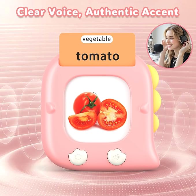 Kidzdo Dinosaur Talking Flash Cards with 254 Words, Educational Learning Toys, Birthday Present for 2 3 4 5 6 Years Old Girls, Pocket Speech Language Therapy Toys for Toddlers, Pink