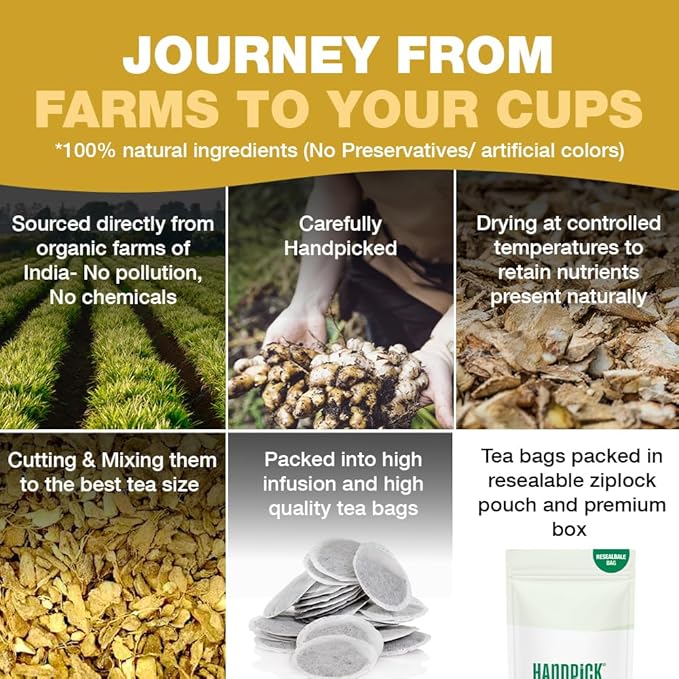 HANDPICK, Ginger Tea Bags (100 Herbal Tea Bags), Authentic Indian Origin, Caffeine Free & 100% Pure Ginger Root |Soothing & Spicy Blend | Round Eco Conscious Teabags