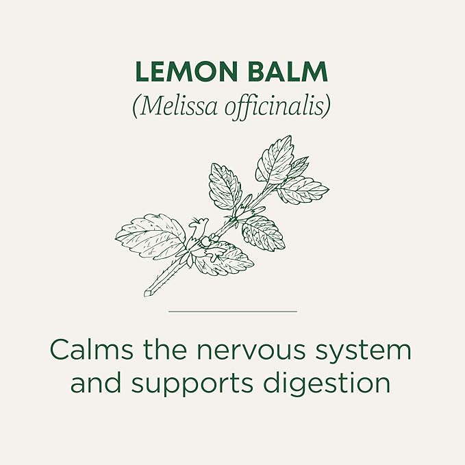 Traditional Medicinals - Organic Lemon Balm Herbal Tea (6 Pack) - Stress Relief & Supports Digestion - 96 Tea Bags Total