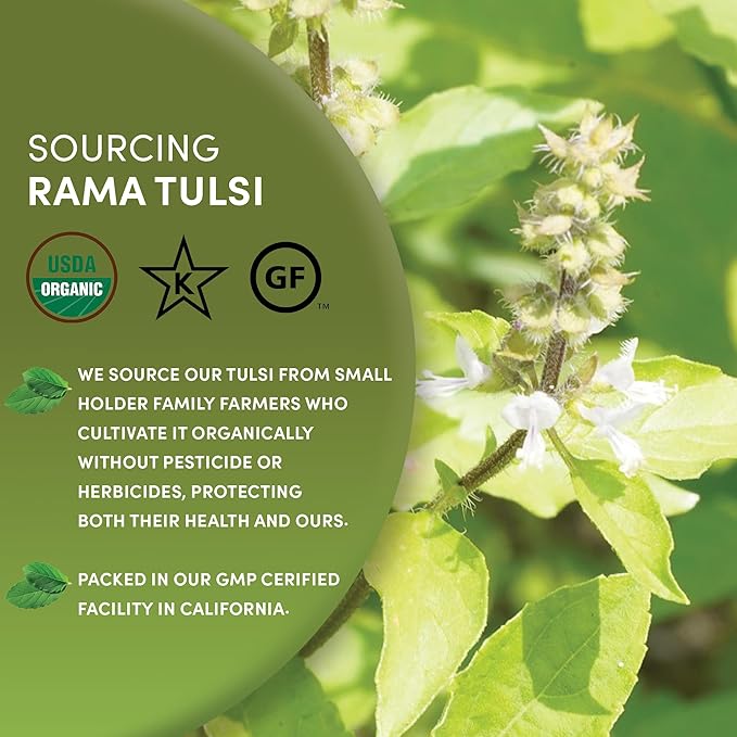 Worldwide Botanicals Organic Holy Basil Tea, 8oz - Tulsi Rama - Loose Leaf Premium Herbal Tea, 100% Pure Tulsi Holy Basil, Fair Trade, Adaptogenic, Kosher