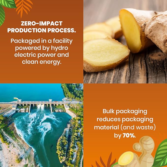 Organic Ginger Tea — 100 Tea Bags | Organic Herbal Tea From Single Origin | Eco-Friendly | Non-GMO Caffeine Free | Cederberg Tea Company.