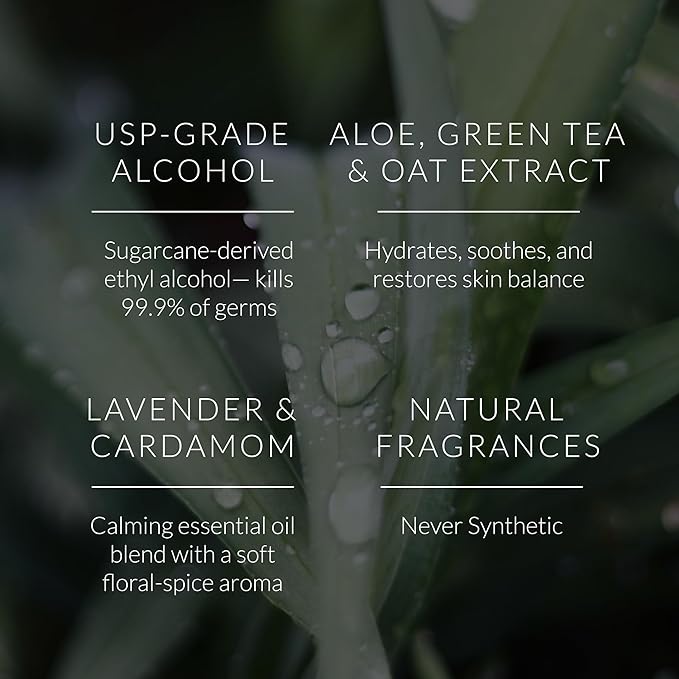 Noshinku Lavendula Hand Sanitizer Wipes, 6-Pack (90 Towelettes) – Resealable Travel Wipes with Ethyl Alcohol, Aloe & Green Tea, Plant-Based Fiber, Essential Oil Scents, Cruelty-Free & No Dyes