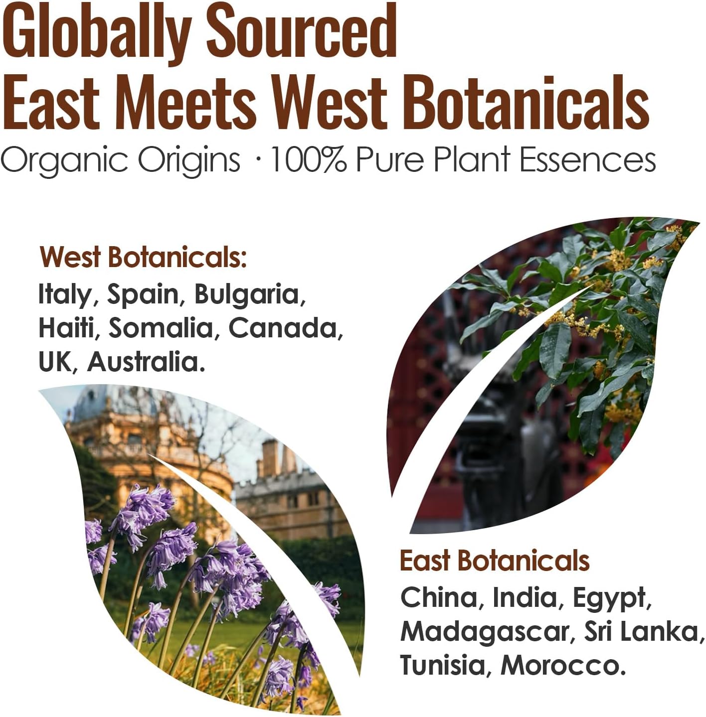 MATRUM Deep Sleep & Inner Calm Essential Oil Roll On Set, 100% Pure Aromatherapy Oils for Sleep, Anxiety & Stress Relief, Water & Earth Relaxing Duo, 1 Fl Oz