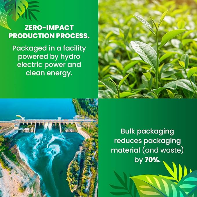 Cederberg Tea Company Organic Green Tea — 30 Tea Bags | Organic Herbal Tea From Single Origin | Eco-Friendly Tea Bags | Non-GMO Gluten Free Tea With Zero Sugar