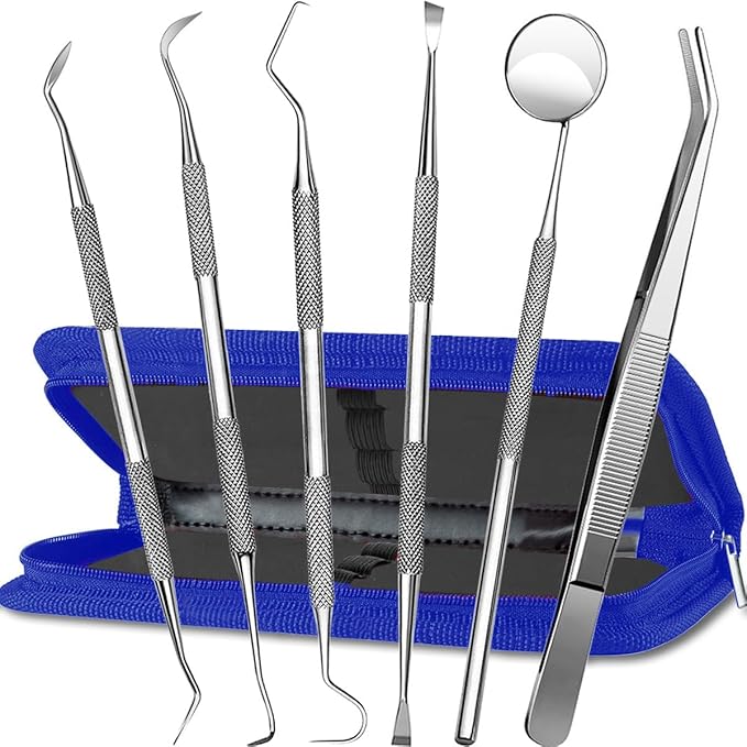 Stainless Steel Dental Kit - 6 Pack Dental Tools with Tooth Mirror, Dental Hygiene Kit for Adults, Kids, Dogs with Mirror, Picks, Travel Case (Blue)