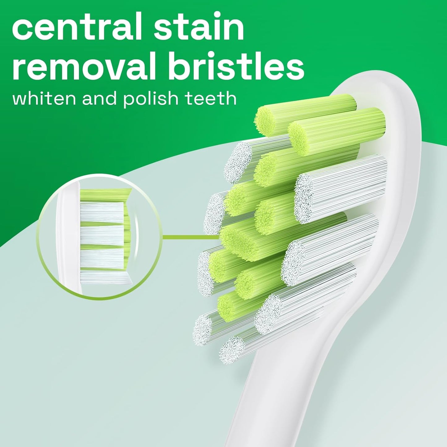 Brushmo Whitening Replacement Toothbrush Heads, Compatible with Philips Sonicare Click-on Electric Toothbrush Handles, 8 Standard Heads, Medium Firm Diamond-Shape Dupont Bristles, BM668, White