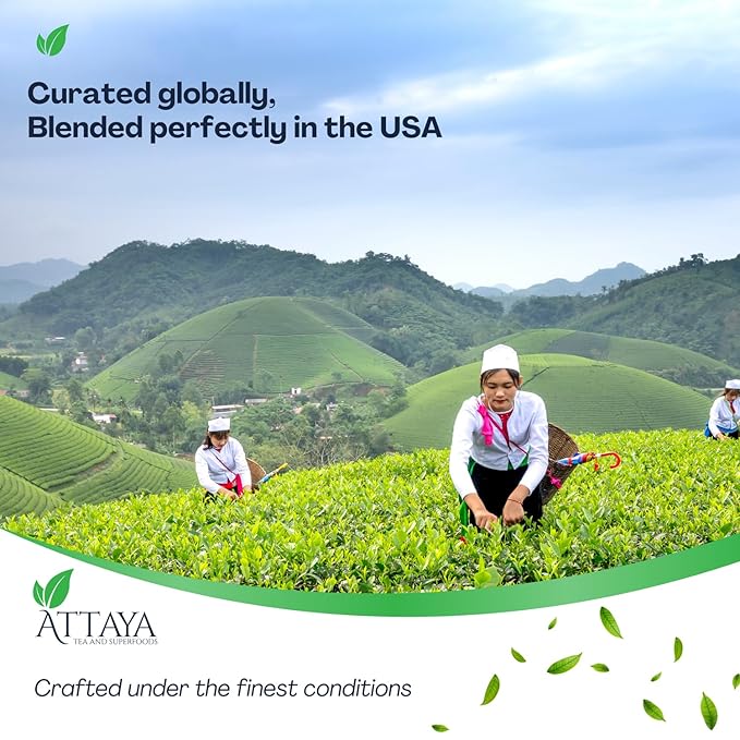 Attaya Moringa Tea Bags 100 Count – Pure Leaf Tea | Caffeine-Free Superfood Herbal Tea | Vegan, Gluten-Free, Sugar-Free | Eco-Conscious, Te de Moringa 100% Natural