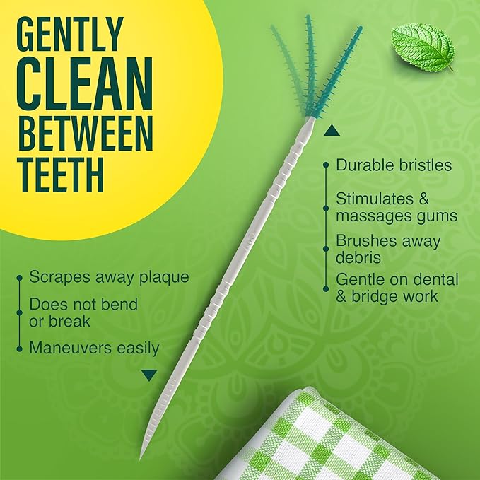 GuruNanda 2-in-1 QuickPik Toothpick & Interdental Pick – Soft Rubber Bristles for Plaque Removal & Improved Oral Care, Comes with a Travel Case for On-The-Go Use, 300 Ct