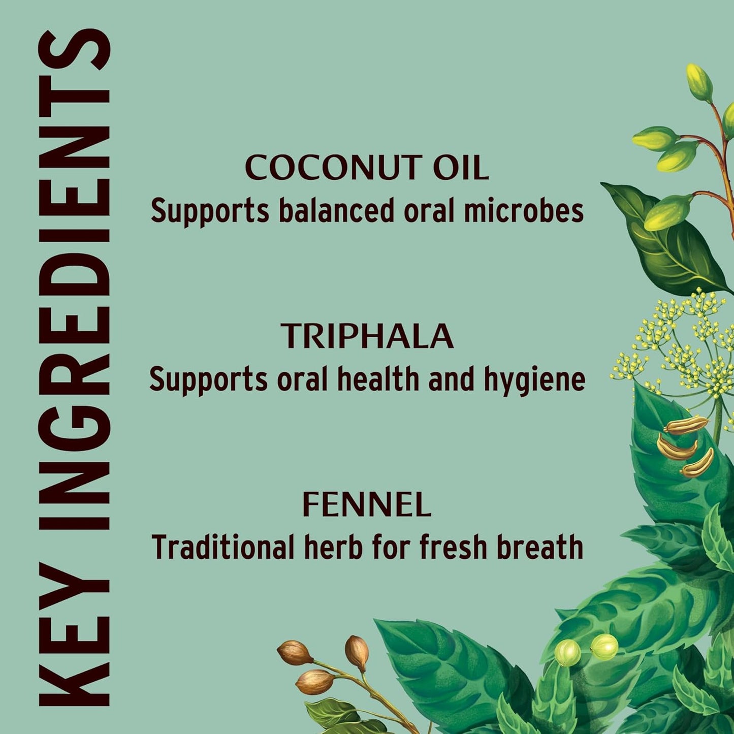 Banyan Botanicals Mint Daily Swish – Organic Ayurvedic Pulling Oil with Coconut Oil – Mouthwash for Fresh Breath and Sparkling Oral Health* – 24 oz – Non GMO Sustainably Sourced Vegan