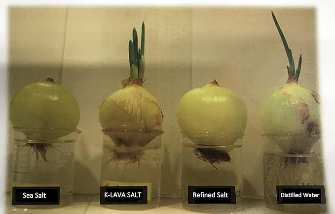 K-LAVA SALT—Korea's No.1 Bamboo Salt—Purple 9X, Crystal, 8.47 Ounce