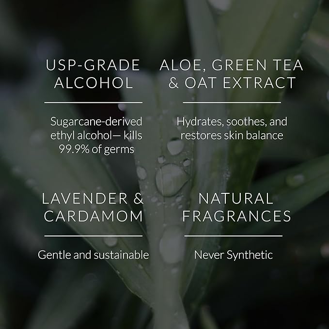 Noshinku Discovery Hand Sanitizer Wipes, 3-Pack (45 Towelettes) – Resealable Travel Wipes with Ethyl Alcohol, Aloe & Green Tea, Plant-Based Fiber, Essential Oil Scents, Cruelty-Free & No Dyes