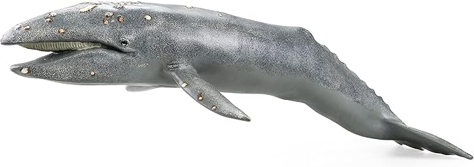 Gemini&Genius Sea Animal Gray Whale, Large Grey Whale Realistic Wildlife Toy Replica Hand Painted Whale Figurine, Ocean Model Toy, Educational, Role Play, Swim, Bath and Collectors for Kids