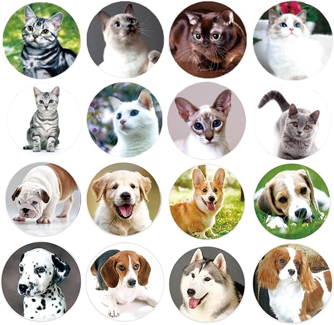 Dog and Cat Stickers for Kids Teachers,1000 Pcs Dog Cat Design Stickers for Kids Birthday Party, School Reward, Giveaways