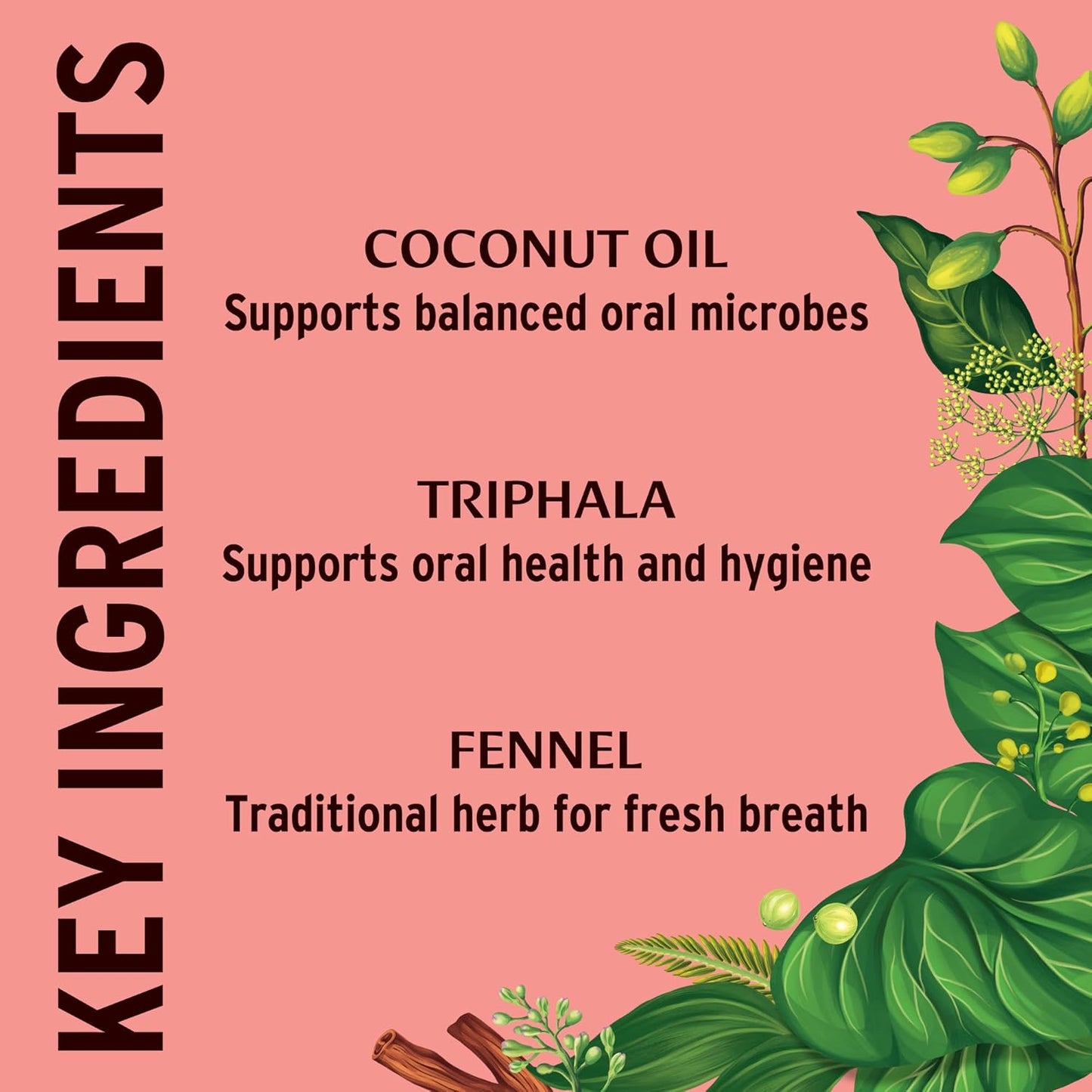 Banyan Botanicals Cinnamon Daily Swish – Organic Ayurvedic Pulling Oil with Coconut Oil – Mouthwash for Fresh Breath and Sparkling Oral Health* – 2 oz – Non GMO Sustainably Sourced Vegan