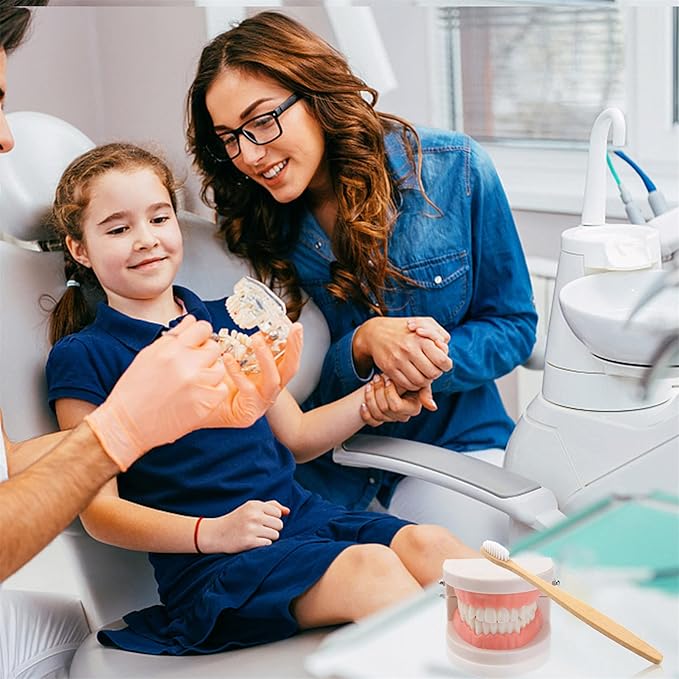 STOBOK Dentist 1 Set Montessori Montessori Practical Life Brushing Teeth Model with Tray Practical Life Simulated Tooth Homeschool Learning Preschool for Toddler Fake Teeth