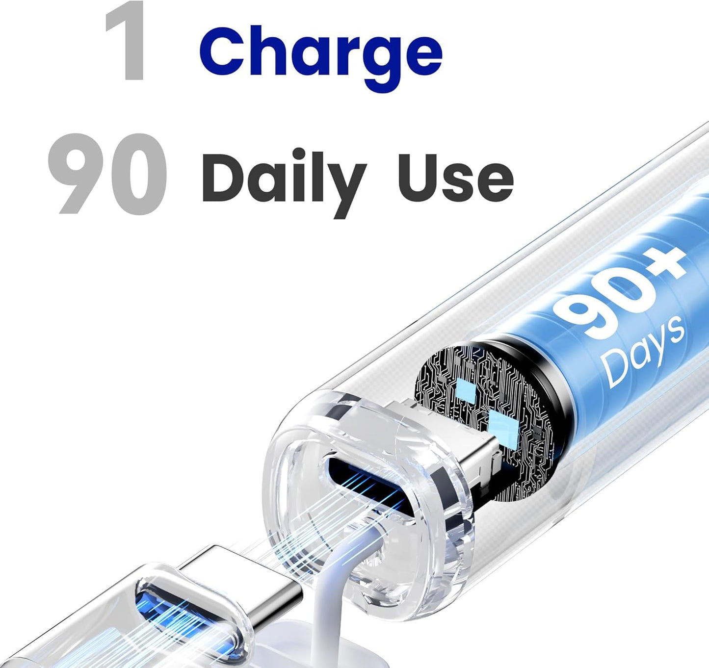 7AM2M Sonic Electric Toothbrush for Adults & Kids, with Travel Case&2 Brush Heads, 1 Charge for 90 Days, Type-C Rechargeable Sonic Toothbrush, Compact Design for Daily/Travel Use - Navy