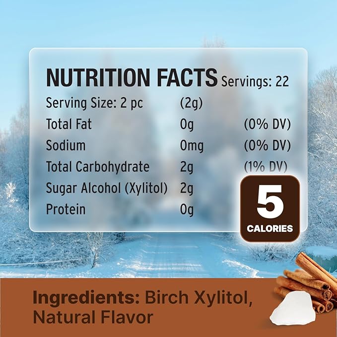 SNØ Cinnamon Xylitol Candy Chips | Oral Health Support | Pure Birch Xylitol | Sugar-Free, Low-Carb, Diabetic-Friendly | Vegan, Non-GMO, Gluten-Free, Kosher, Keto-friendly (1 LB Bag)