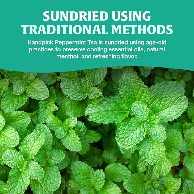 HANDPICK, Peppermint Tea, Eco-Conscious Tea Bags - 100 Count | Caffeine Free, Non-GMO | Minty, Fresh & Cool flavor | Direct From Source