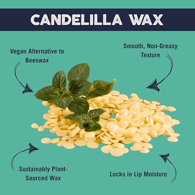 Eco Lips Bee Free Vegan Unscented 100% Natural Lip Balm - Soothe and Moisturize Dry, Cracked and Chapped Lips - 100% Plastic-Free Plant Pod Packaging - Made in USA (6 Tubes)