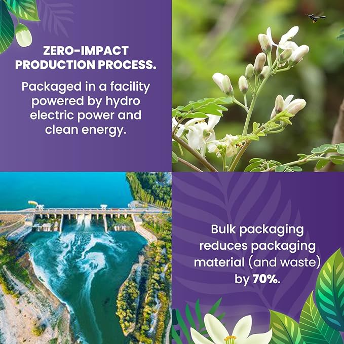 Organic Moringa Herbal Tea — 100 Tea Bags | Eco-Friendly Tea Bags | Non-GMO Caffeine Free Tea With Zero Sugar | Cederberg Tea Company.