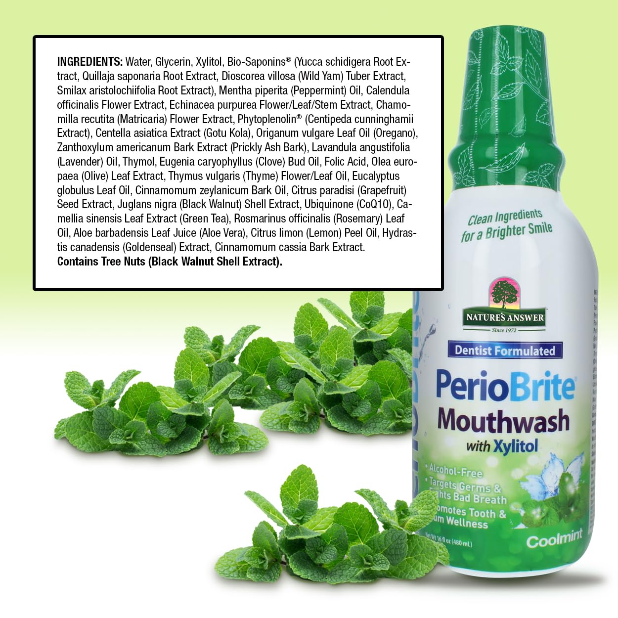 Nature's Answer Periobrite Cool Mint All-Natural Mouthwash | Promotes Healthy Teeth & Gums | Fights Bad Breath | Flouride-Free, Alcohol-Free & Gluten-Free | No Articial Preservatives 16oz (2 Pack)