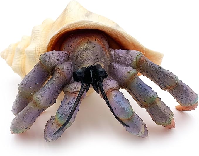 Gemini&Genius Sea Animal Hermit Crab Action Figure Toy for Kids, Soft Rubber Realistic Ocean Crab Educational and Role Play Toys for Kids and Collectors, Great Swimming and Bath Toys (Hermit Crab)