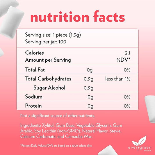 Evergreen Sweets Chewing gum -100 Pieces Jar - Natural Cinnamon Gum Made with Xylitol and Stevia - Sugar-Free, Aspartame Free and Vegan