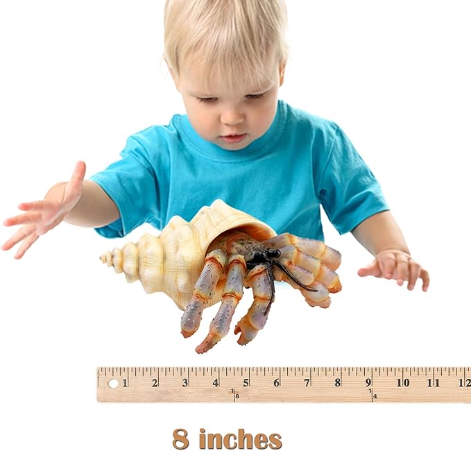 Gemini&Genius Sea Animal Hermit Crab Action Figure Toy for Kids, Soft Rubber Realistic Ocean Crab Educational and Role Play Toys for Kids and Collectors, Great Swimming and Bath Toys (Hermit Crab)