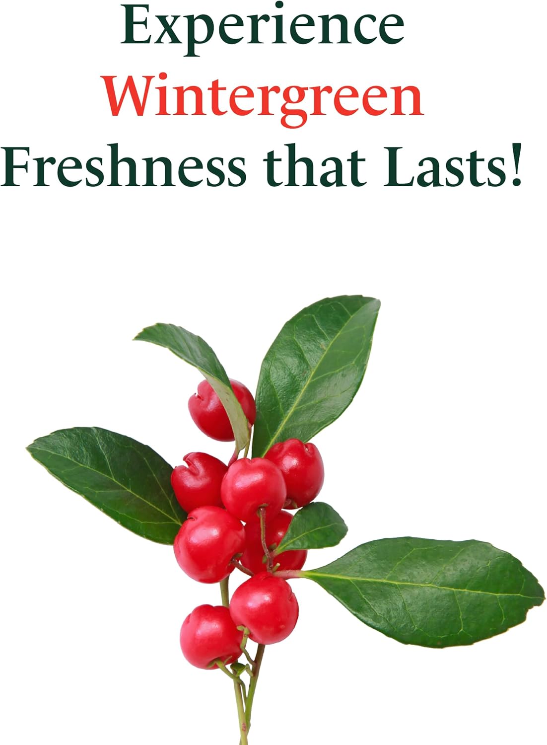 EUTHYMOL Original Toothpaste Travel Set (1.4fl oz*3, Pack of 3) - Gift Set, Stocking Stuffers. Fluoride-Free for Sensitive Teeth & Gum. Bad Breath, Cavity Prevention, 12h Long Lasting Freshness