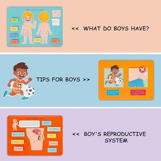 Freebear Montessori Busy Book for Kids, Human Body Anatomy Book for Toddlers, Preshool Kindergarten Learning Activities, Autism Sensory Toys, Gifts for Girls and Boys 4-7 Years- Human Body Procreation