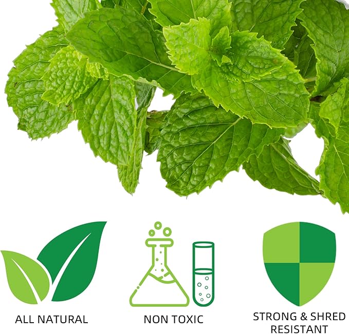 300PCS Dental Floss Travel Floss Professional Toothpicks Sticks Dental Floss Picks Flossers with Travel Case Superfine Floss Picks Dental Picks for Teeth Cleaning