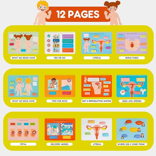 Freebear Montessori Busy Book for Kids, Human Body Anatomy Book for Toddlers, Preshool Kindergarten Learning Activities, Autism Sensory Toys, Gifts for Girls and Boys 4-7 Years- Human Body Procreation