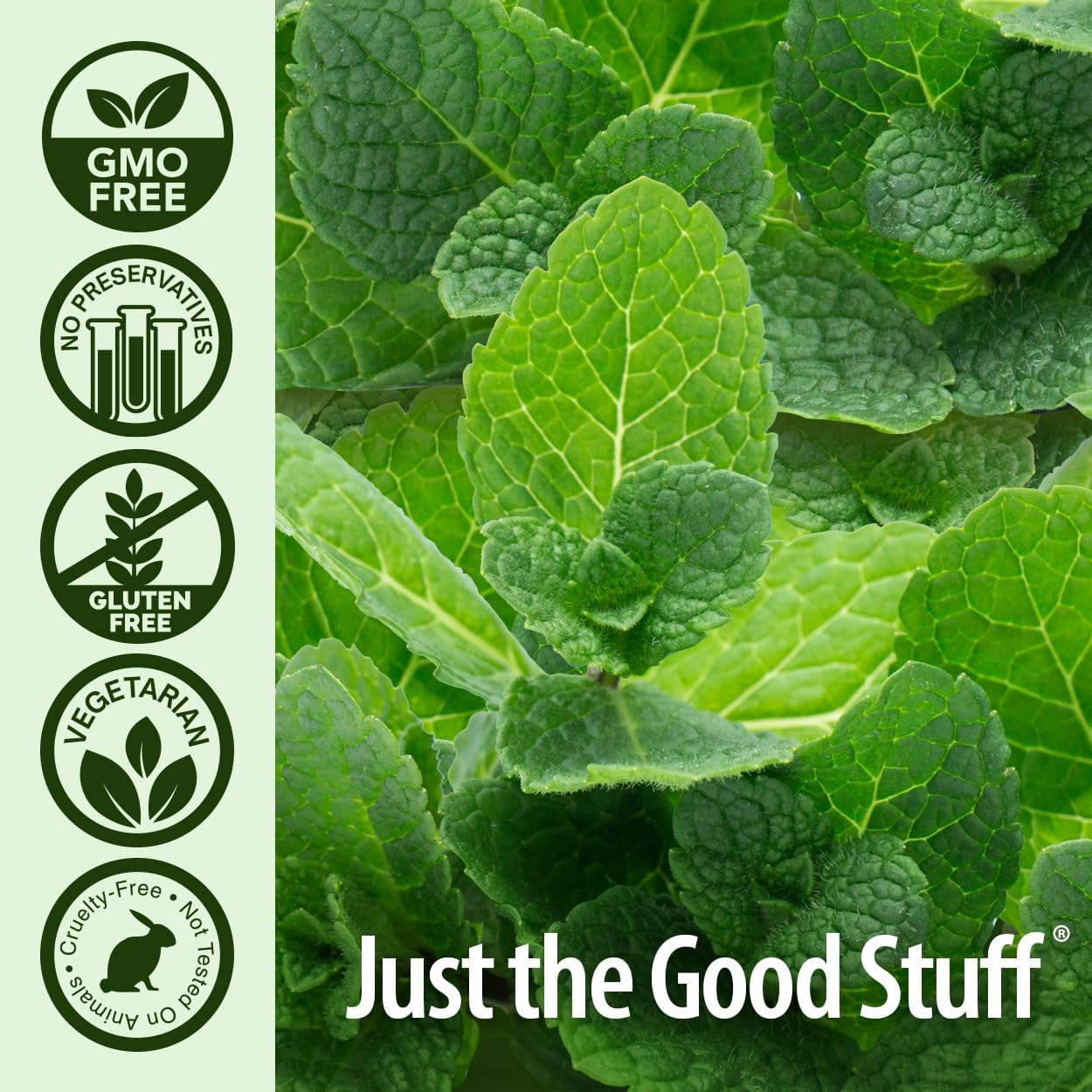 Nature's Answer PerioCleanse Oral Rinse and Oral Cleansing Concentrate | Cool Mint Flavor | Fluoride-Free, Alcohol Free, No Artificial Preservatives, Colors, Dyes, or Sweeteners 4oz