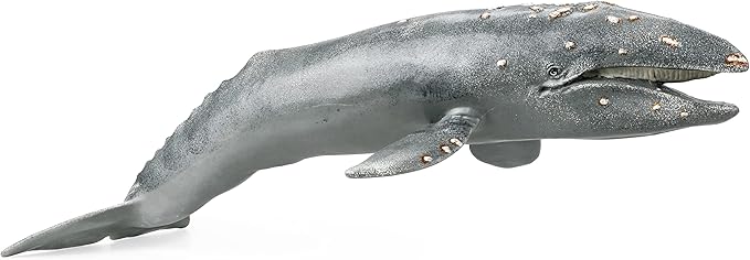 Gemini&Genius Sea Animal Gray Whale, Large Grey Whale Realistic Wildlife Toy Replica Hand Painted Whale Figurine, Ocean Model Toy, Educational, Role Play, Swim, Bath and Collectors for Kids