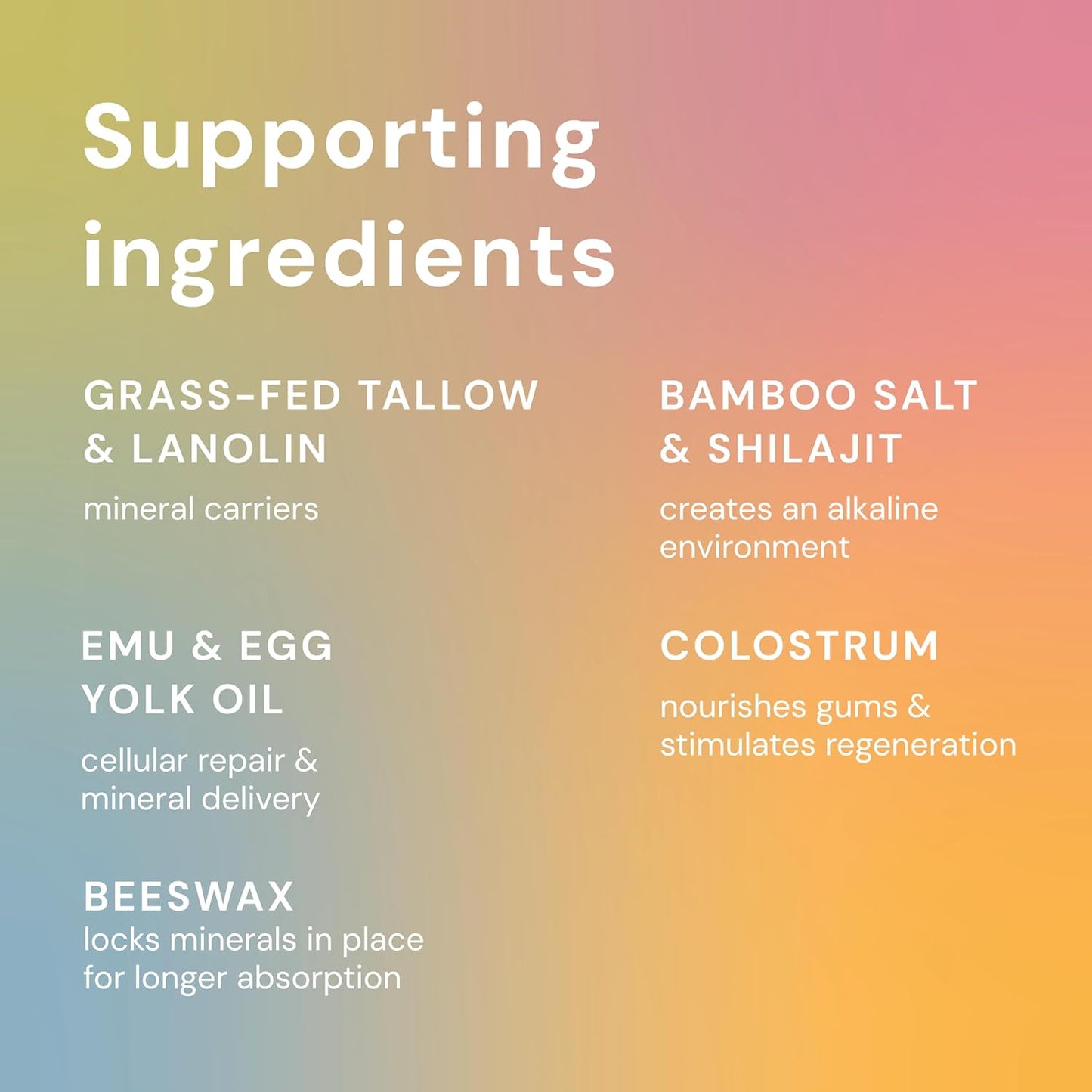 Bliss Energetics Primal Puddy - 1oz Remineralizing Tooth Spot Treatment - Hydroxyapatite, Tallow, Colostrum, Shilajit - All Natural Preservative & Chemical Free