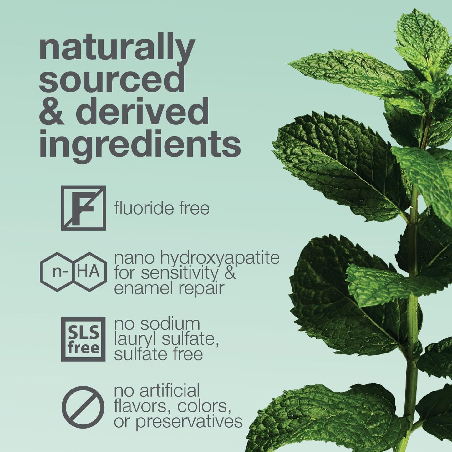 Davids Hydroxi Mild Mint Fluoride Free Nano Hydroxyapatite Toothpaste for Enamel Health & Whitening, Antiplaque, SLS Free, Kid Friendly Gentle Mint Flavor, 4 oz, Made in USA