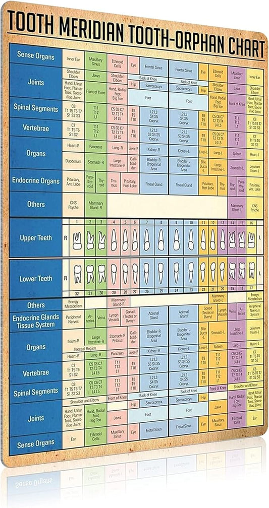 JIUFOTK Dentist Knowledge Posters Metal Signs Tooth Meridian Tooth-Orphan Chart Vintage Plaque Dental Room Decor Club Office Bathroom Wall Decor 12x16 Inches