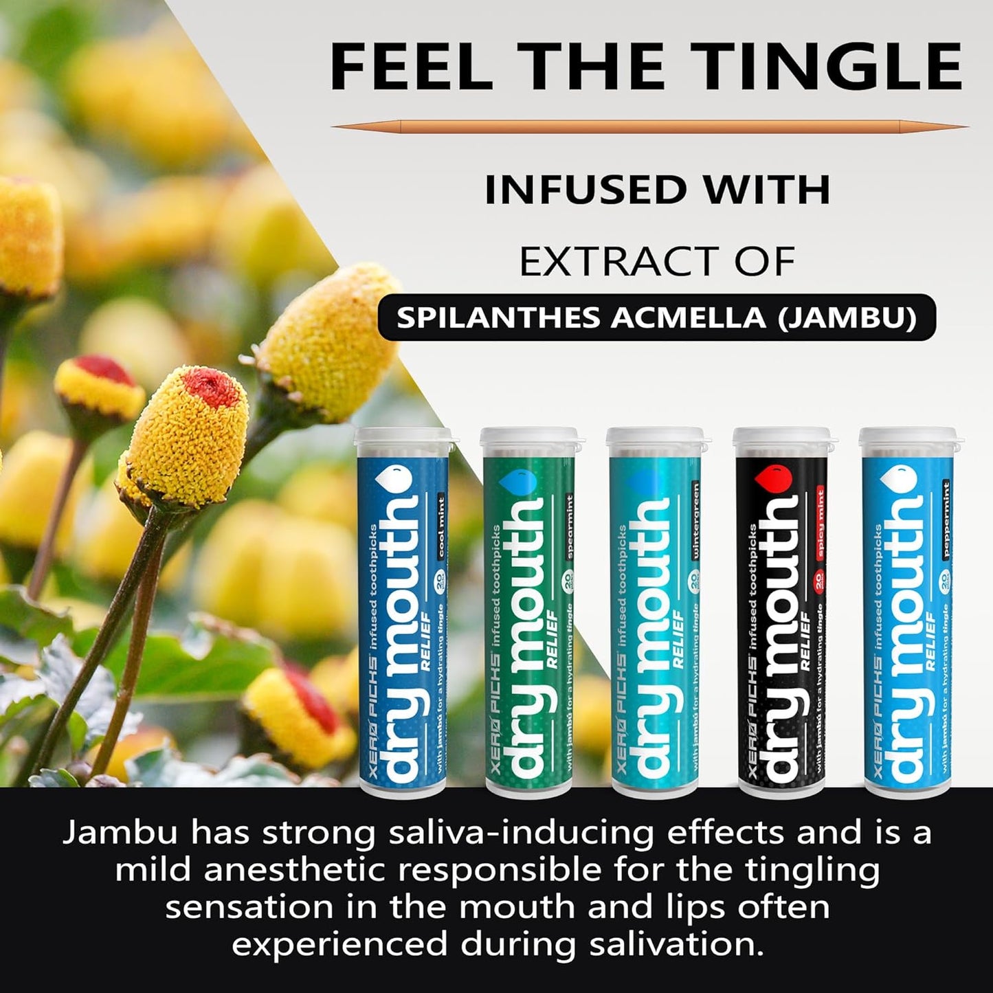 Xero Picks Infused Tooth Picks for Long-Lasting Fresh Breath & Dry Mouth Prevention - 20 Picks (Variety Mints, 5 Pack)-Spearmint, Cool Mint, Wintergreen, Peppermint, Spicy Mint