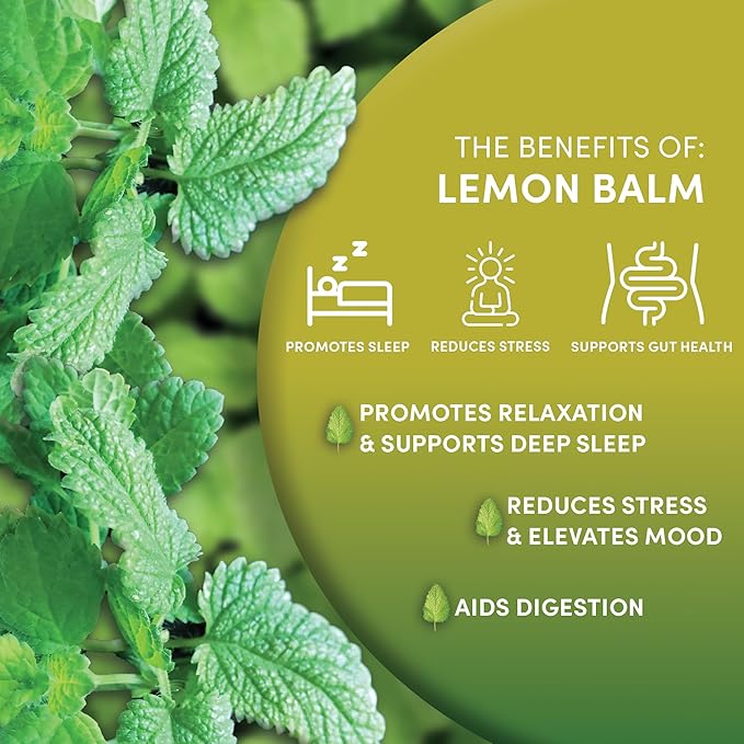 Worldwide Botanicals Organic Lemon Balm Tea, 1Lb - Loose Leaf Premium Herbal Tea | 100% Pure Lemon Balm Leaves | For Stress Relief and Good Digestion | Kosher