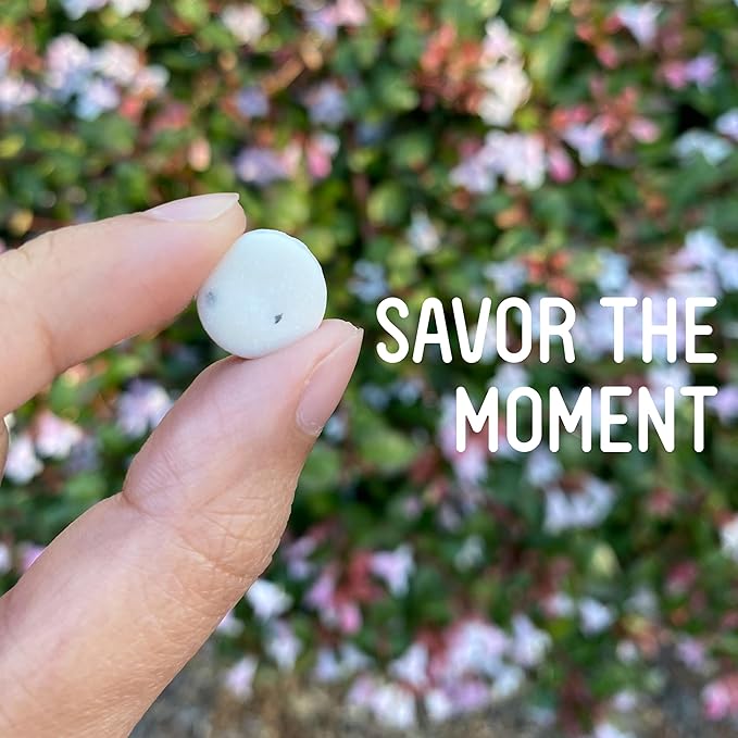 VerMints Organic Breath Mints GingerMint - Real Ginger Flavored Candies - Travel Size Tin - Non-GMO, Nut Free, Gluten Free, Vegan, Kosher & Organic Candy Mints - .63oz/18g (Pack of 12)