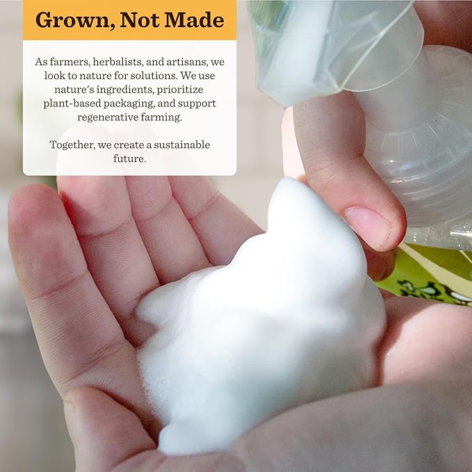 Moon Valley Herbal Foaming Hand Soap, Orange Spice Two Pack, Vegan, Recyclable Bottle