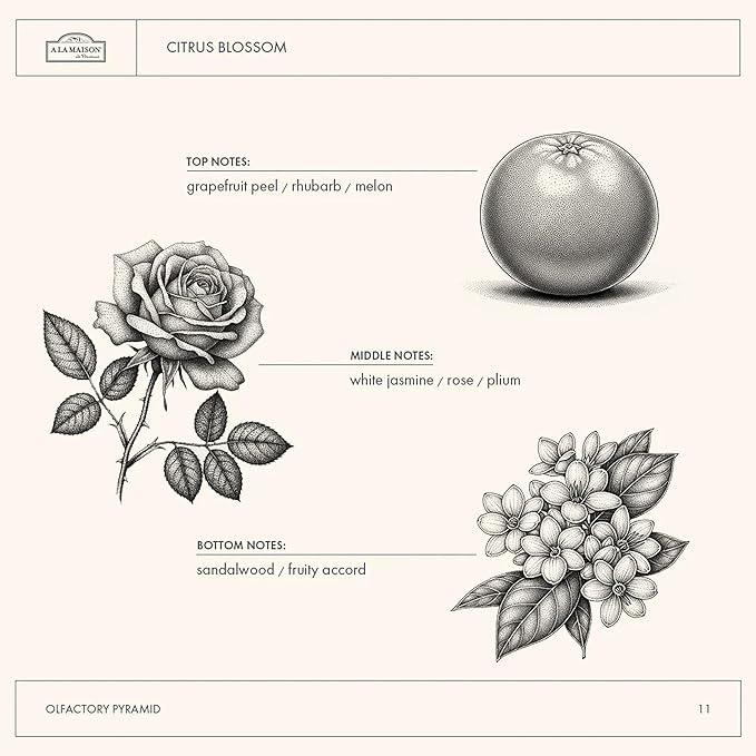 A LA MAISON French Liquid Hand Soap, Citrus Blossom - Natural Hand Wash Made with Essential Oils - Biodegradable, Plant-Based, Vegan, Cruelty-Free, Alcohol & Paraben Free (16.9 oz, 2 Pack)