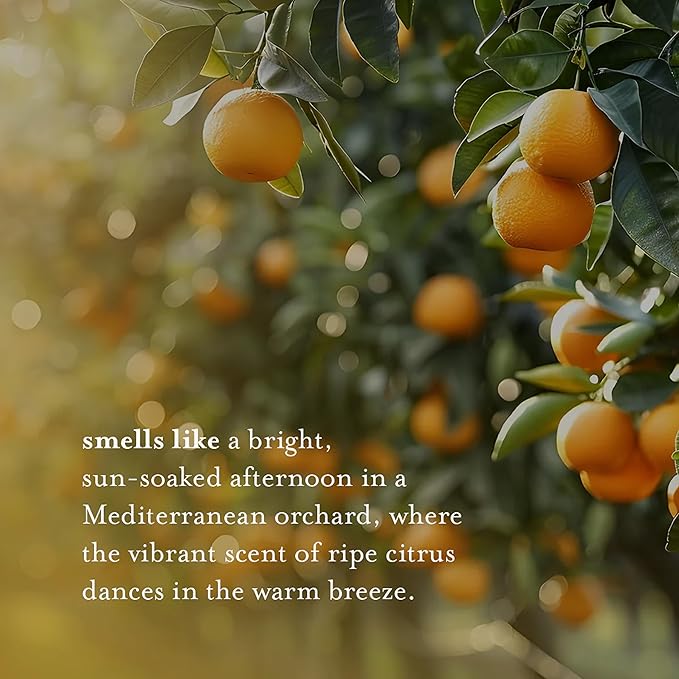 A LA MAISON French Liquid Hand Soap, Citrus Blossom - Natural Hand Wash Made with Essential Oils - Biodegradable, Plant-Based, Vegan, Cruelty-Free, Alcohol & Paraben Free (16.9 oz, 2 Pack)