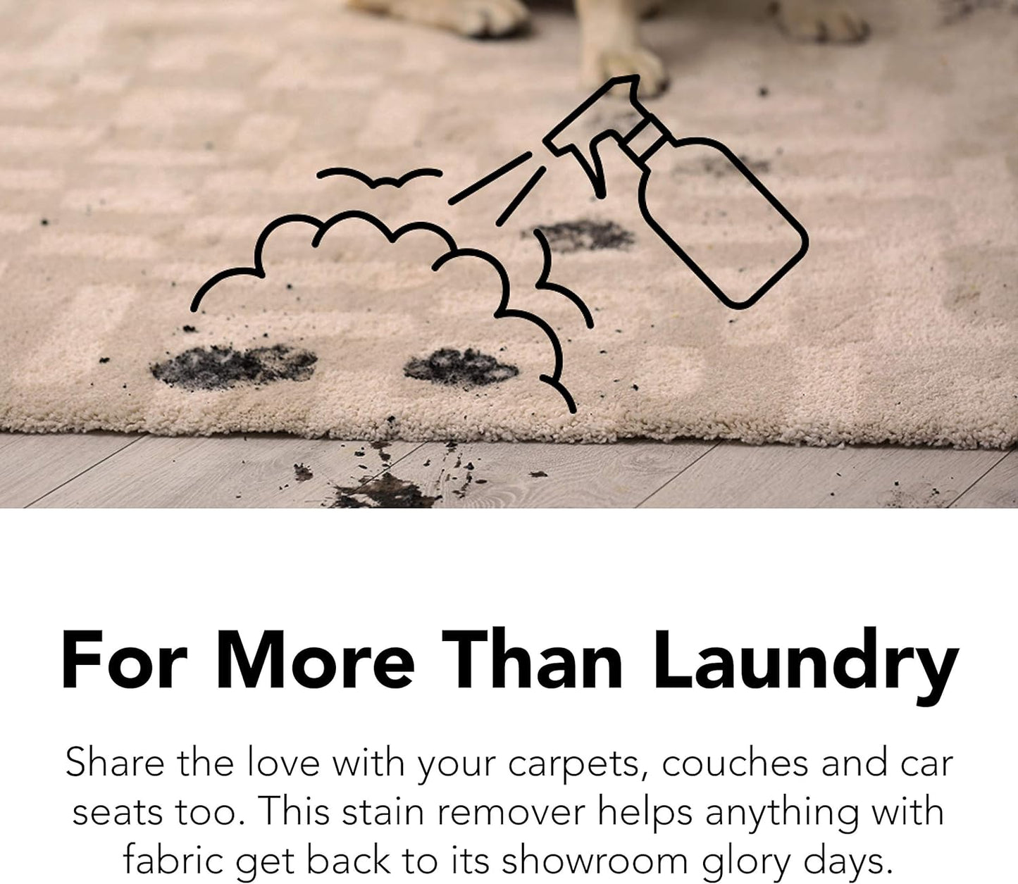 Laundry Stain Remover Spray, 16oz (2-Pack). 'Free & Clear' Stain Remover & Spot Treater Prewash Detergent for Clothes, Carpet & Gear. 'ProvenSafe' Cleaning Spray for Pets, Kids & Sensitive Skin