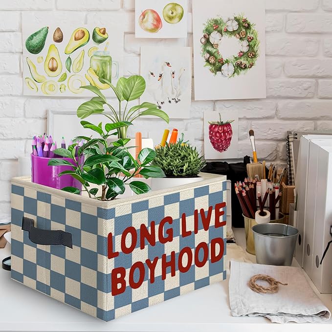 Long Live Boyhood Foldable Storage Bins Box with Handles, Retro Blue Checkered Collapsible Toys Books Clothes Organizer Basket for Kids Boys Nursery Bedroom Bathroom Dorm