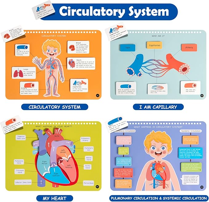 Freebear Montessori Busy Book for Kids, Human Body Anatomy Book for Toddlers, Preshool Kindergarten Learning Activities, Autism Sensory Toys, Gifts for Girls and Boys 4 5 6 7 Years - Human Body System