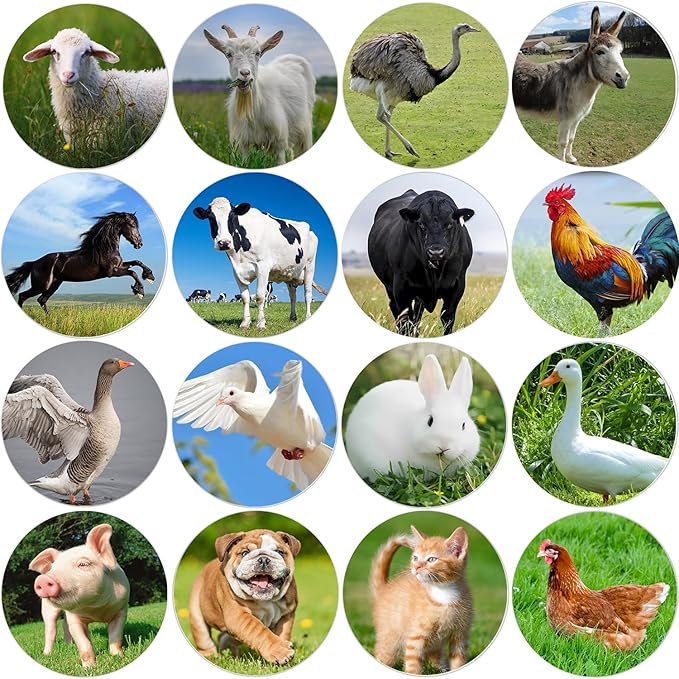 Farm Animal Stickers Roll for Kids 1.5 Inch 600Pcs Round Farm Animals Label Stickers for Boys Girls Birthday Party Favors Gifts Decoration Teachers Student Classroom Reward