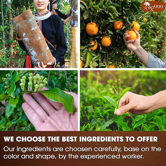 TOG999, 120 Tea Bags – Special Blend of Cinnamon, Black Tea, Orange Peel and Cloves, 100% Natural Ingredients, Hand-made Blend Herbal Tea. Eco-conscious Tea Bags. No Sugar, No Caffeine, No Gluten, Vegan.