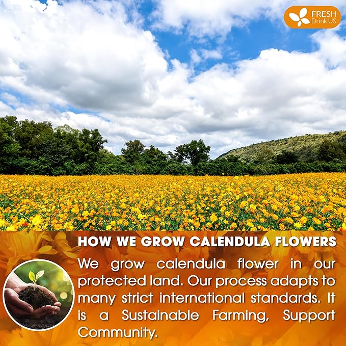 FreshDrinkUS, Premium 135 Calendula Tea Bags, 100% Natural and Pure Calendula Flowers, Eco-conscious Tea Bags. Herbal Tea. No Sugar, No Caffeine, No Gluten, Vegan.